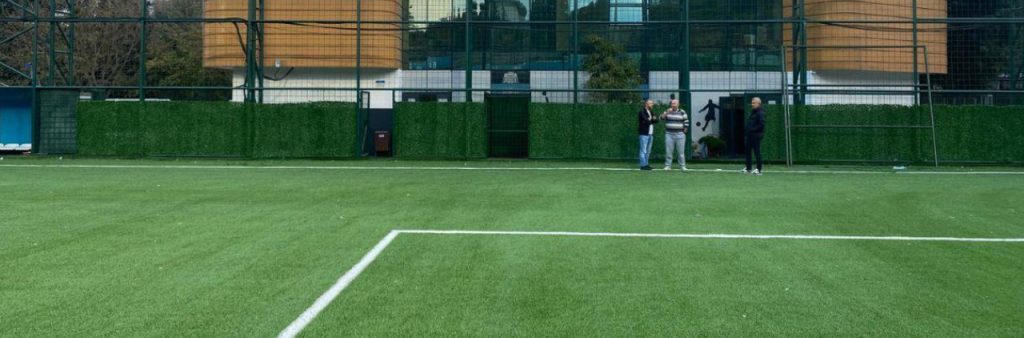 Beşiktaş Çilekli Stadyumu proje portföyü görseli
